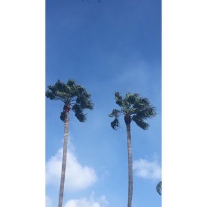 Meet your Posher, Markeisha